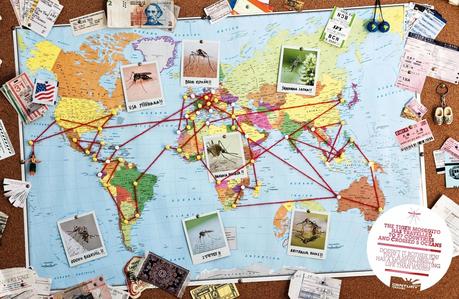 Los insectos viajan más que nosotros