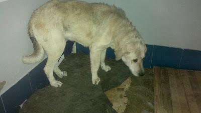 DESPUES DE TODO LO PASADO...SU FINAL NO PUEDE SER LA MUERTE¡¡‏ (BADAJOZ)