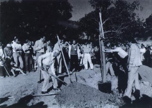 Los padres y los maestros: Sexto capítulo.