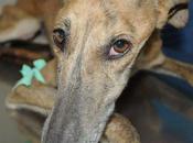 palabras, solo odio puede sentir esto......