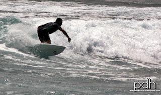 EL  TIBURÓN...SALTARÍN