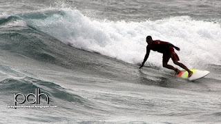 EL  TIBURÓN...SALTARÍN