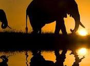 Diez proverbios africanos