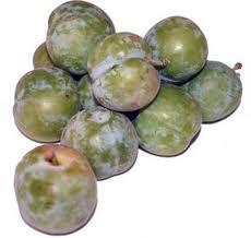 c174 Las ciruelas: ¿Una fruta que engorda?  