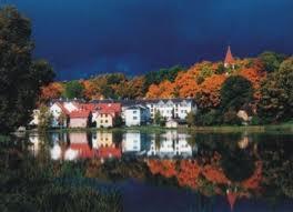 Orquidea Blanca-Carmen M Cañamero