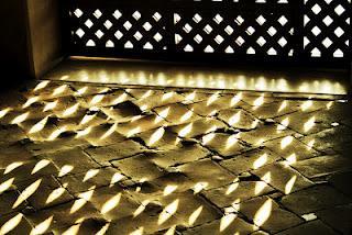 La curiosidad mató al gato