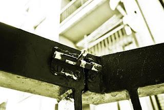 La curiosidad mató al gato