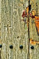 La curiosidad mató al gato