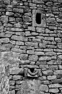 La curiosidad mató al gato