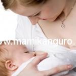lactandia materna 4