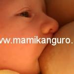 lactancia-materna (3)