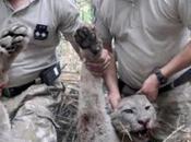 Barbaridad. argentina paga matar