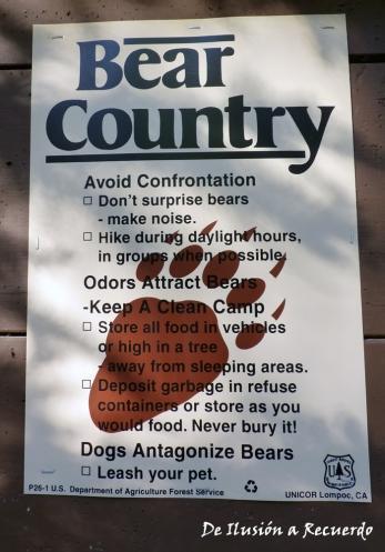 Territorio de osos Viajar a Alaska: guía práctica (parte 2)