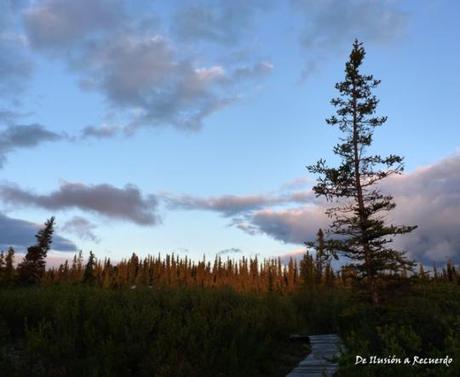 Viajar a Alaska: guía práctica (parte 1)