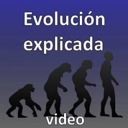 evolucion 250x250 Evolución explicada   Video