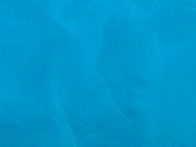 NUESTRAS PLAYAS, TODO UN LUJO