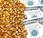 Guatemala dinero hambre: ¿cuándo funcionar ecuacion?