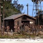 681089filmingthewolveri