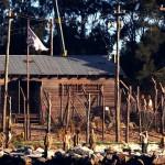 680575filmingthewolveri