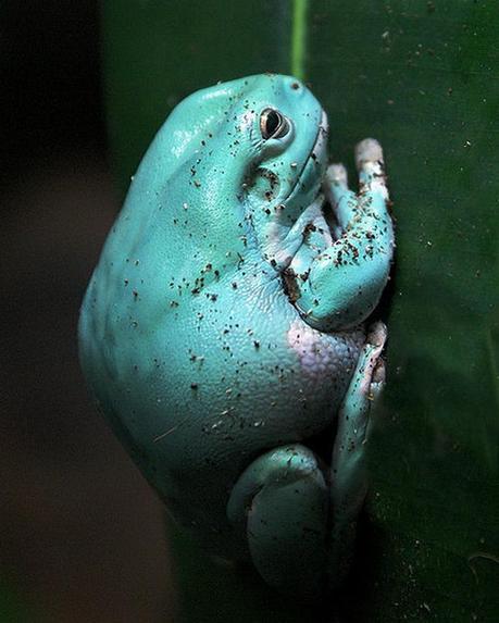 Crítica de la noción de felicidad y repudio del hedonismo