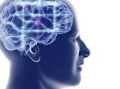 (477) inteligencia puede medirse escáner