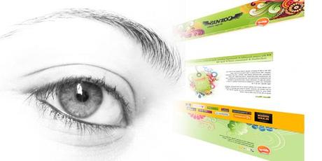 7 formas diferentes de visualizar tu sitio Web