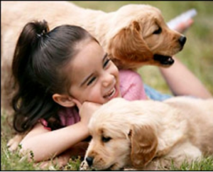 Mascotas, habilidades sociales y autismo