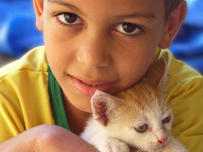 Mascotas, habilidades sociales y autismo