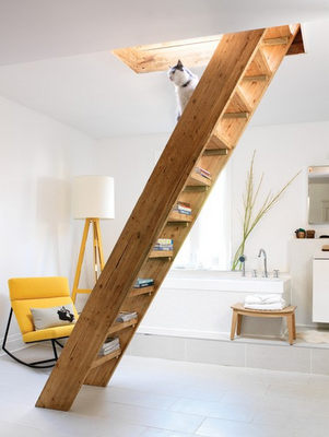 Escaleras Rusticas II