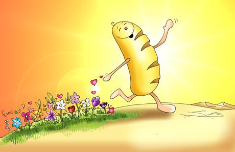 EVANGELIO DOMINICAL EN IMÁGENES: 05 de Agosto del 2012