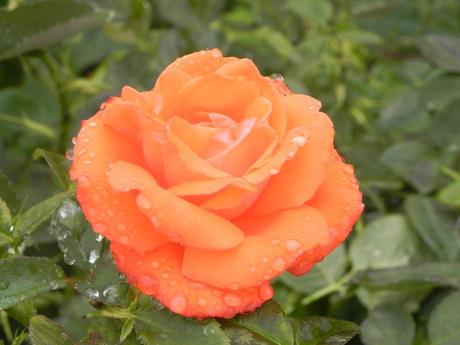 Mis vacaciones (1): La escapada perfecta