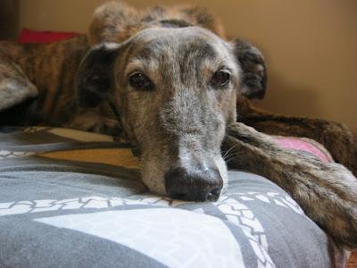 Entre luz y sombra....