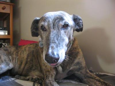 Entre luz y sombra....