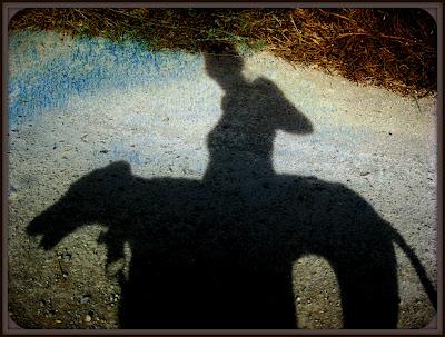 Entre luz y sombra....