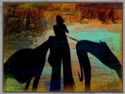 Entre luz y sombra....