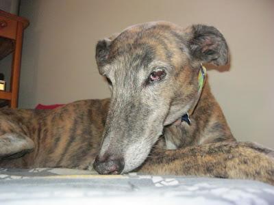 Entre luz y sombra....