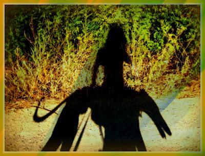 Entre luz y sombra....