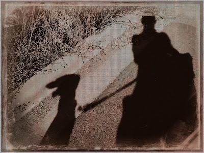 Entre luz y sombra....