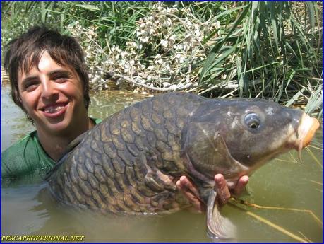CARPONES CARPONES SILUROS Y CARPAS AL PELLETS
