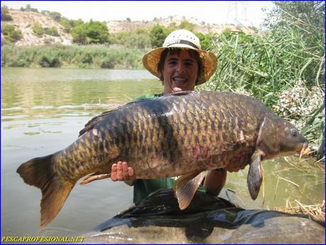 CARPA SILUROS Y CARPAS AL PELLETS