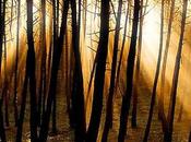 Algún España verá