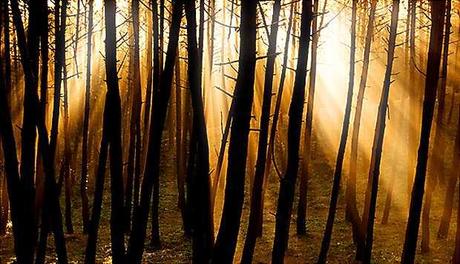 Algún día España verá la luz