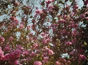 Esta semana Natui: ruta Mediterráneo