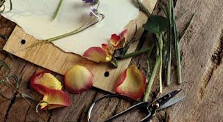 MEDITA...SIN MEDITAR