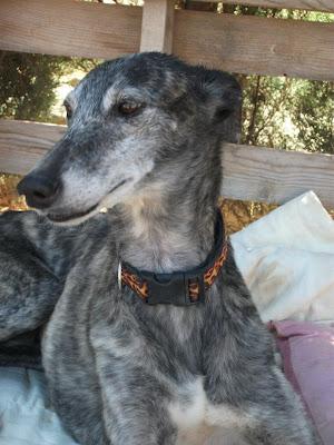 Reina que espera reinar en tu corazón.