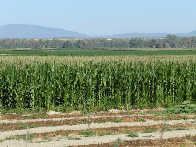 Paseo por... Campos de Regadío