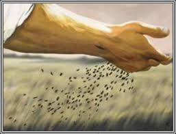 Liderazgo. Siembre semillas que desarrollen a otros