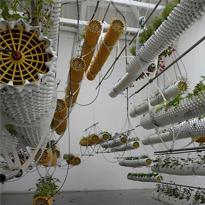 España, un organismo vivo.