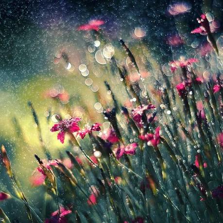 Hosted by imgur.com Una Fascinante colección de fotografía de Lluvia – Inspiración