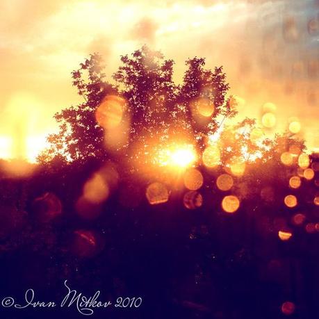 Hosted by imgur.com Una Fascinante colección de fotografía de Lluvia – Inspiración